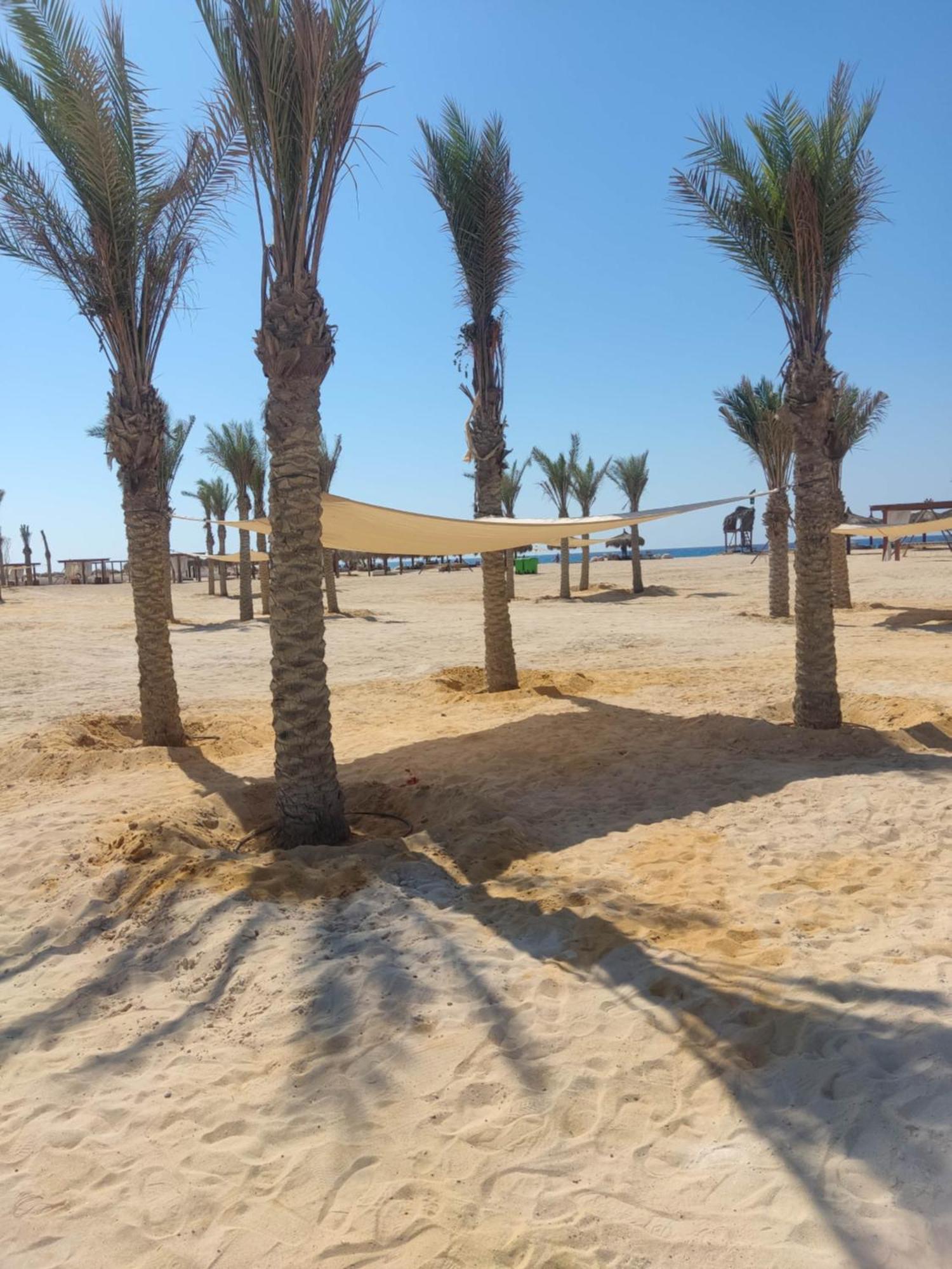 D-Bay North Coast Hotel Zawiyat 'abd al Mun'im ภายนอก รูปภาพ